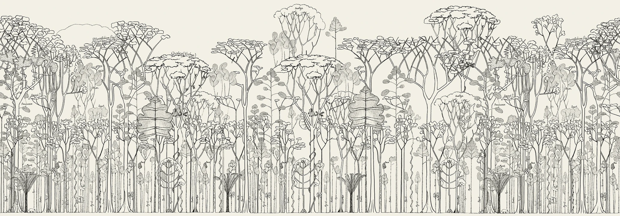 Monochrome Wald