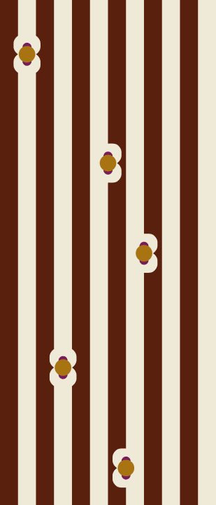 Chic Stripes
