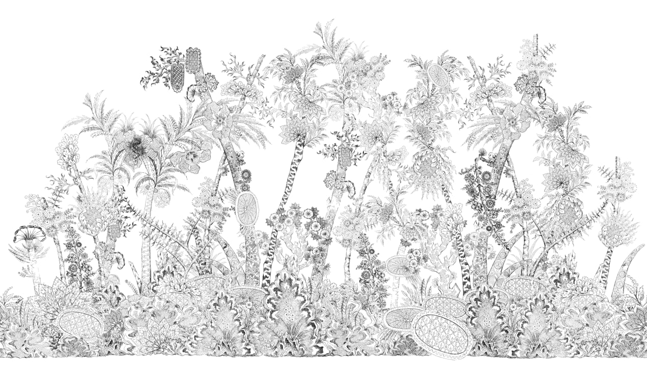 Monokrom Flora