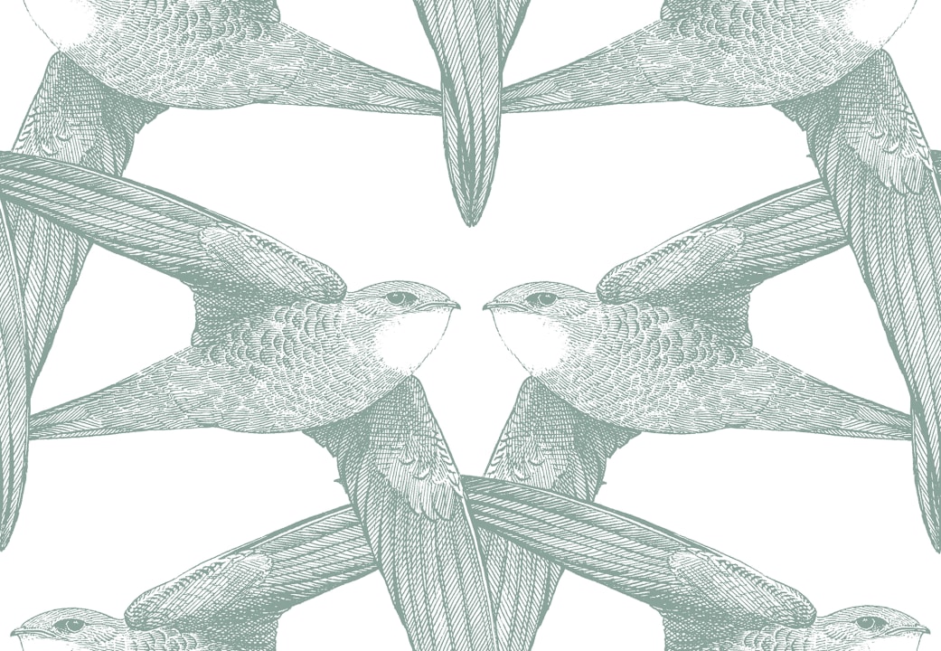 Oiseaux de Grâce bien fait