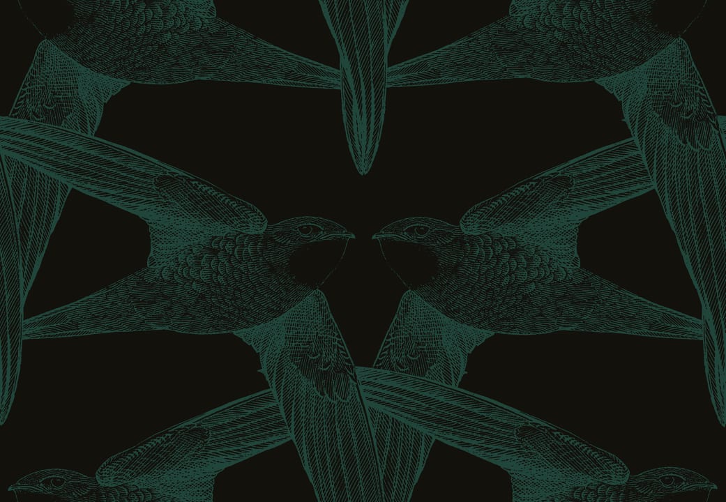 Plumage élégant
