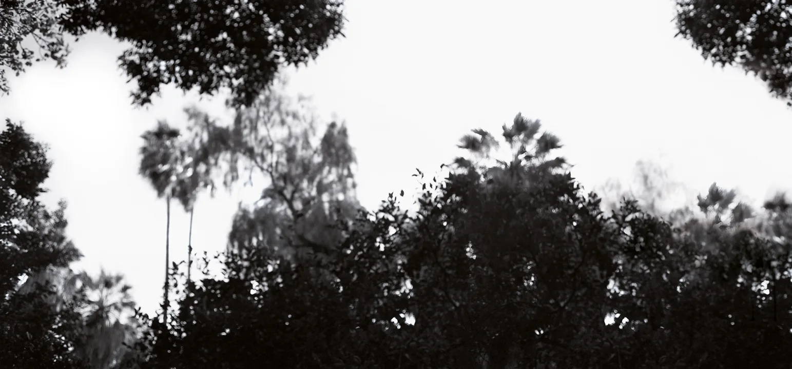 Monochrome Elegance
