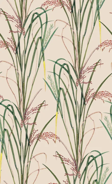 Herbes murmurantes