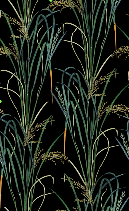 Herbes murmurantes