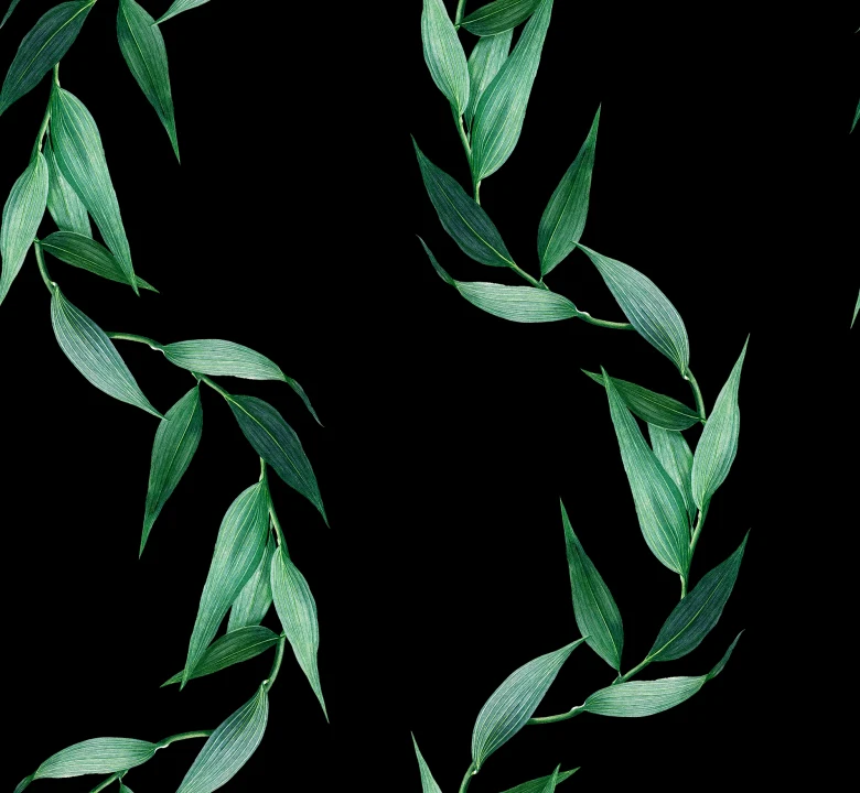 Elegant Bamboo