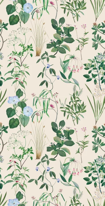 Silken Flora