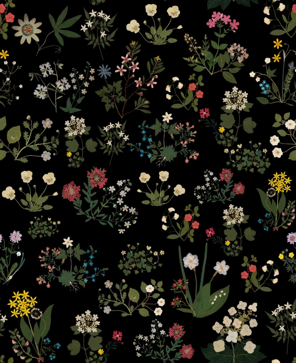 Fleurs nocturnes
