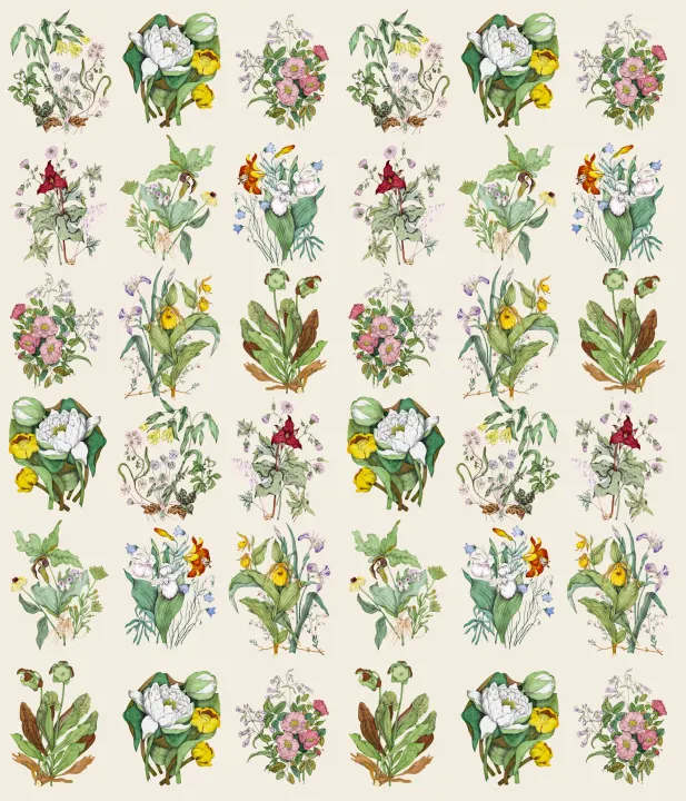 Floral Harmony