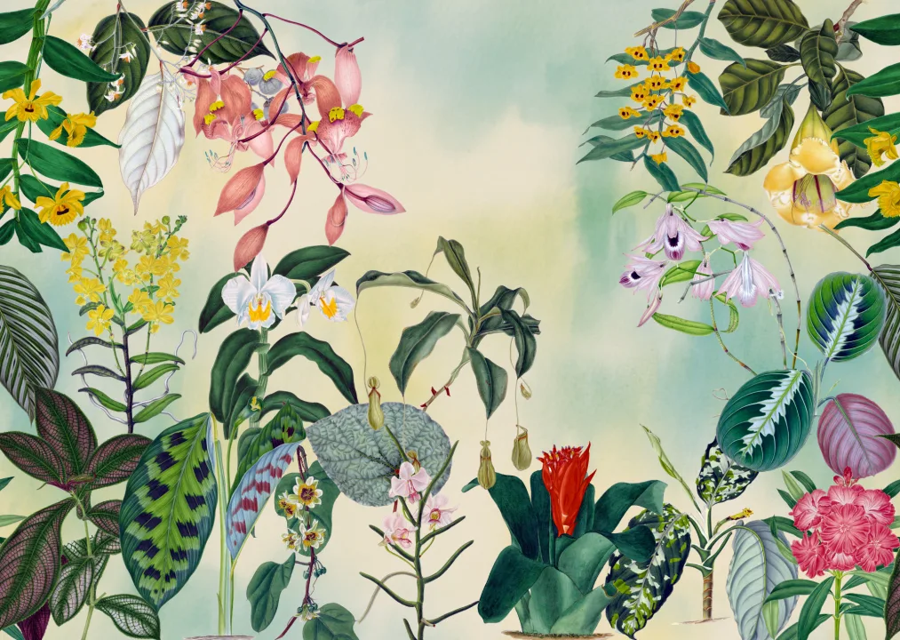 Symphonie tropicale