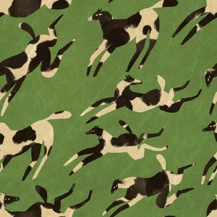 Wild Gallop