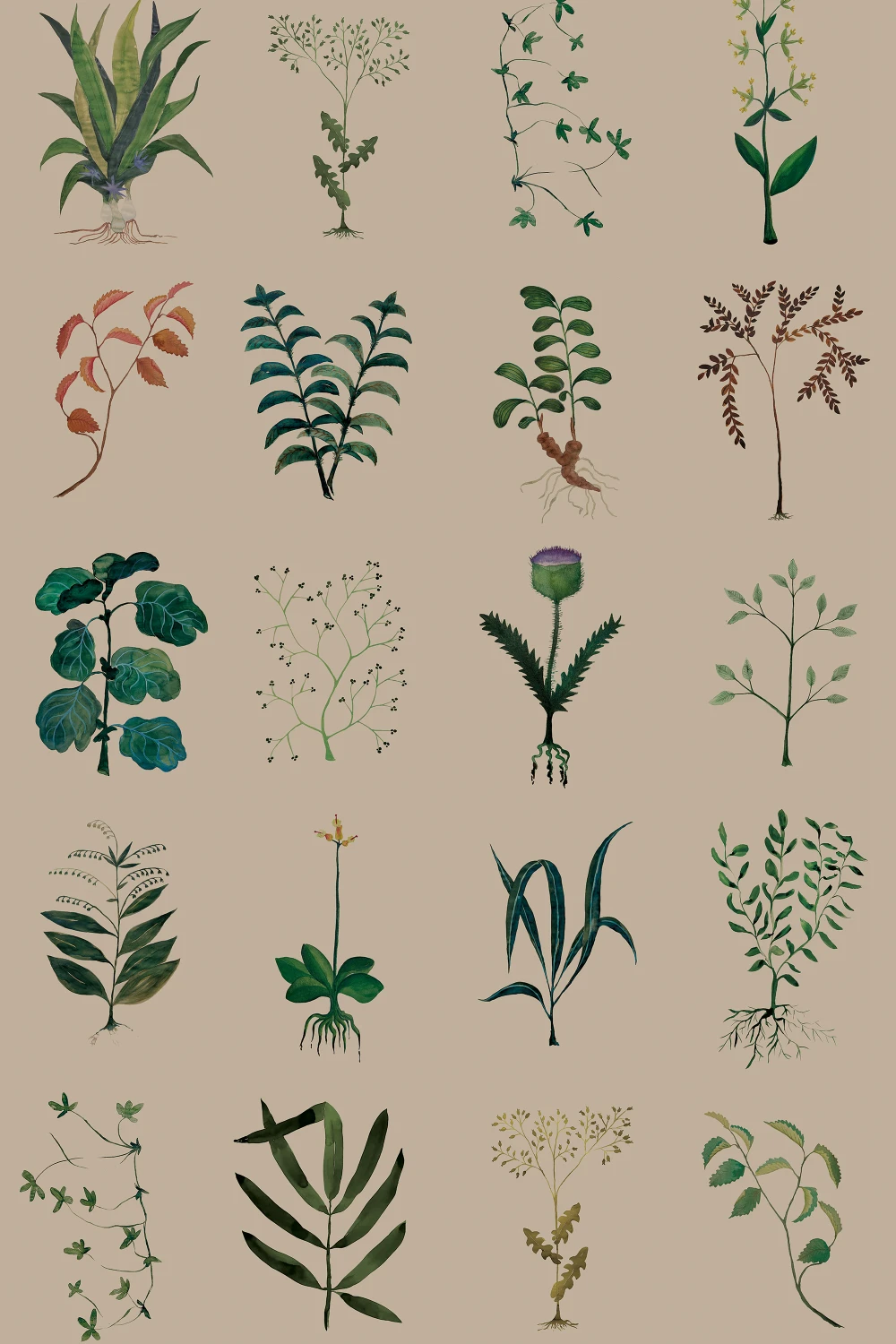 Nature's Archive
