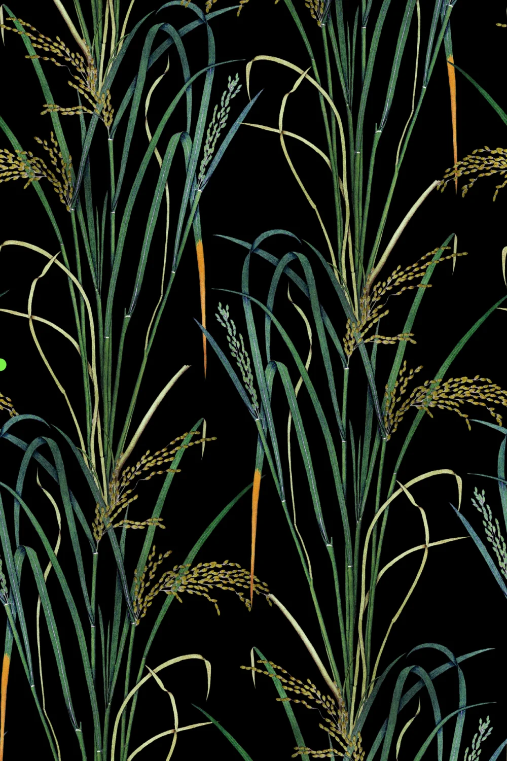 Herbes murmurantes