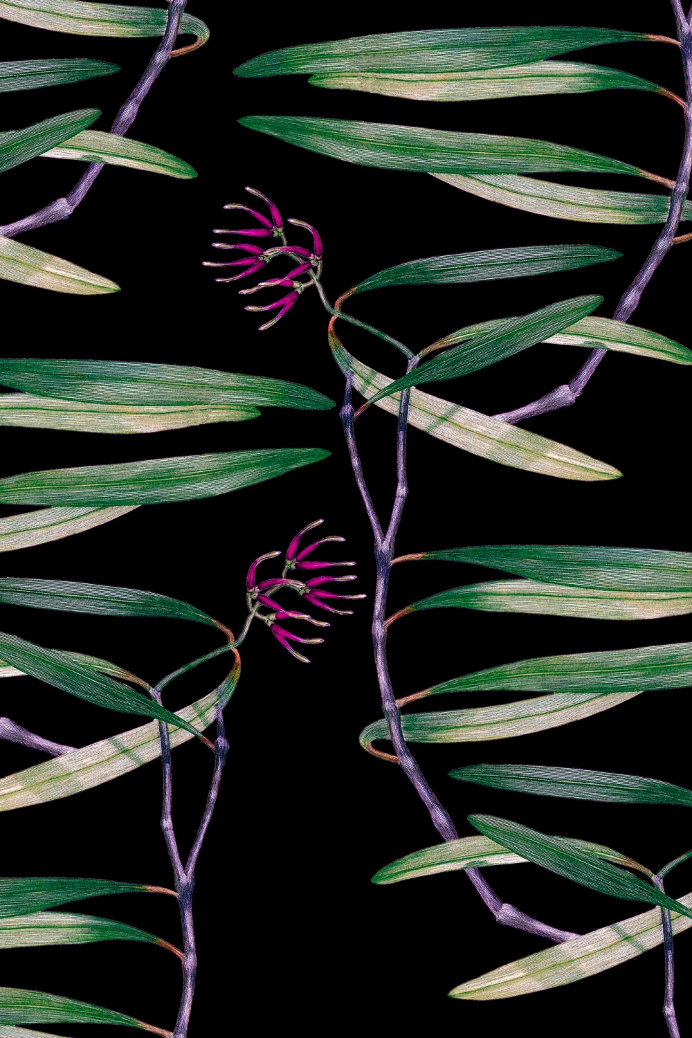 Botanische elegantie