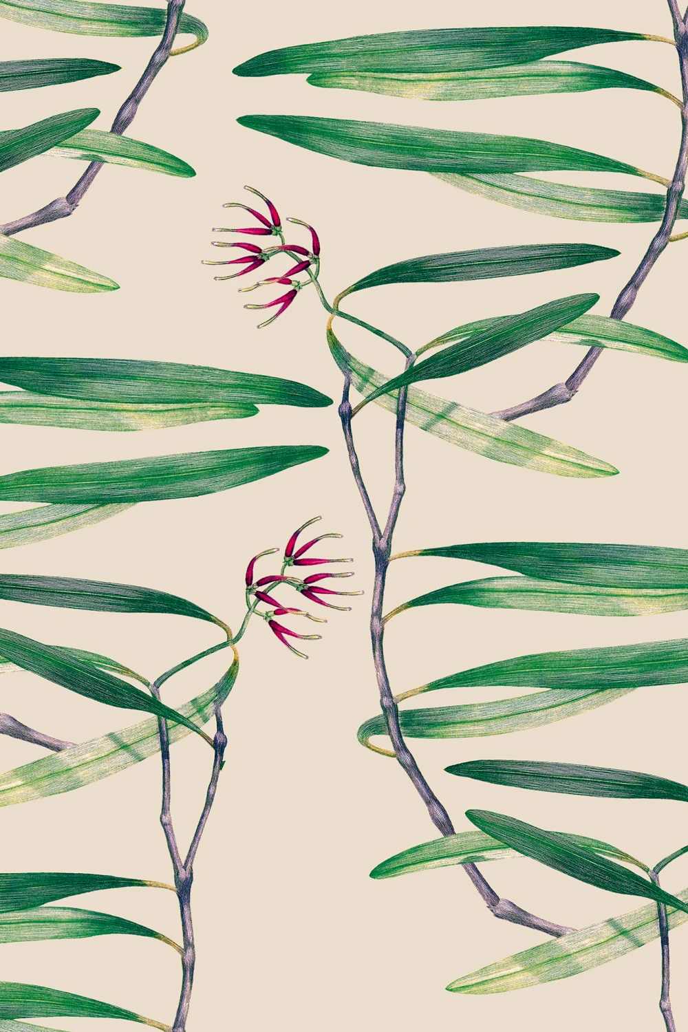 Feuilles murmurantes
