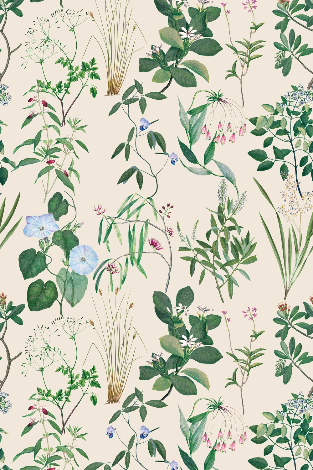 Silken Flora