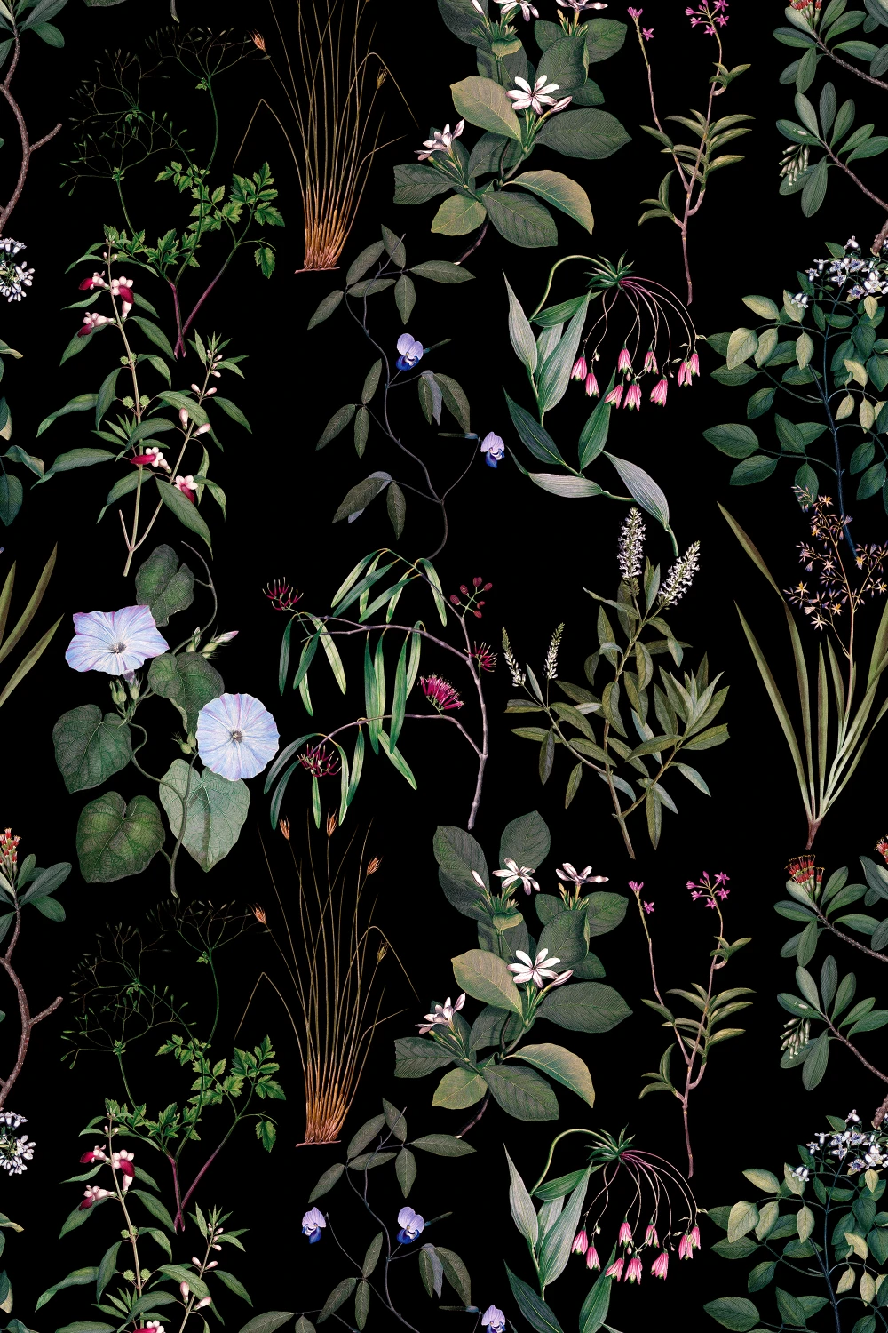Nocturnal Blossom