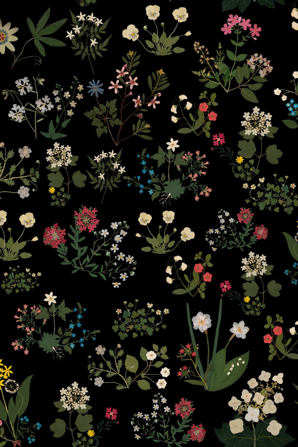 Nocturnal Blooms
