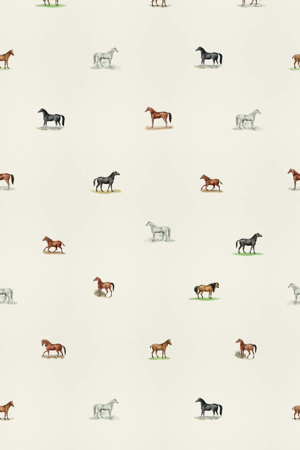 Charme Equestre