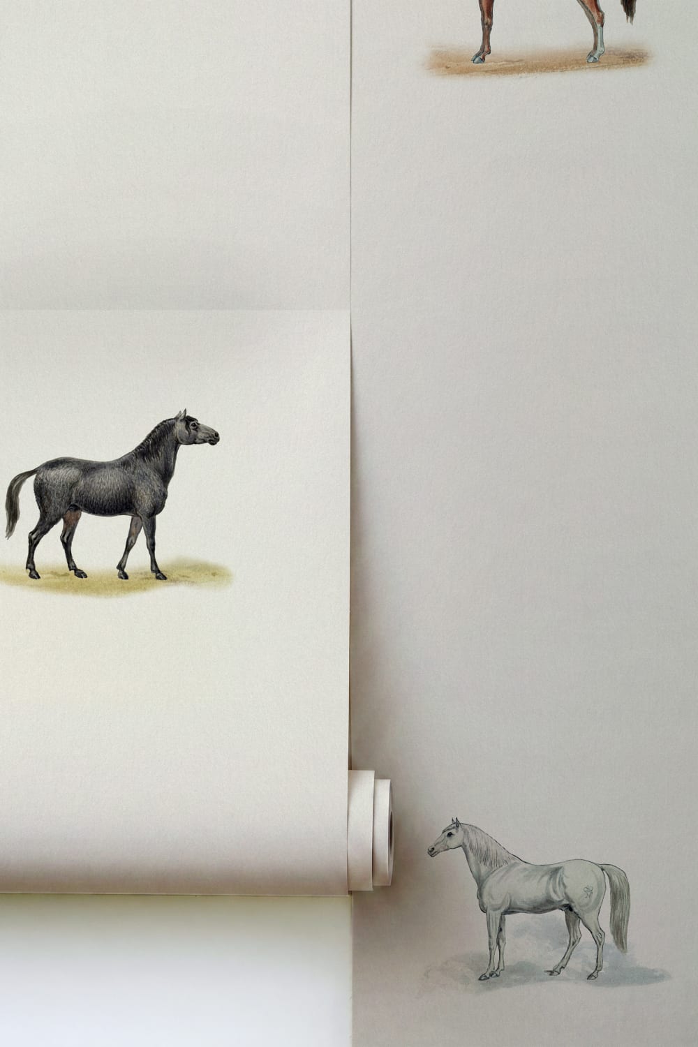 Charme Equestre