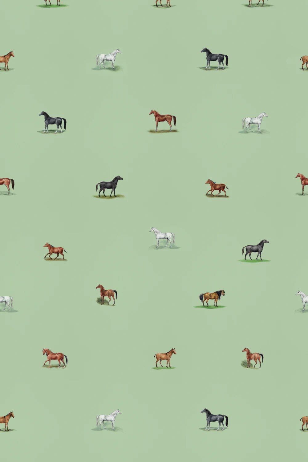 Equestrian Parade