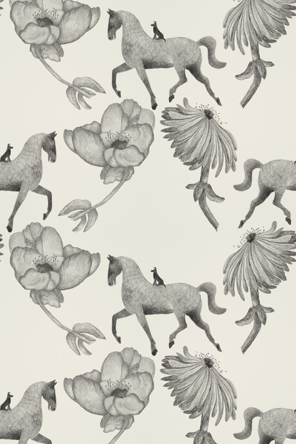 Equestrian Dreams