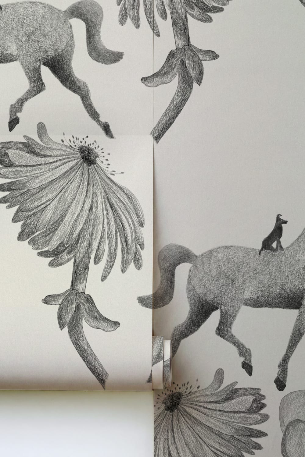 Equestrian Dreams