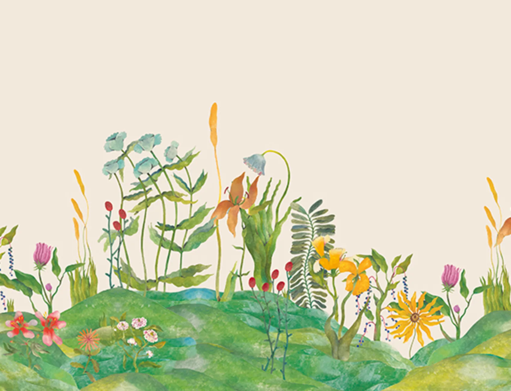 Garden Wonder