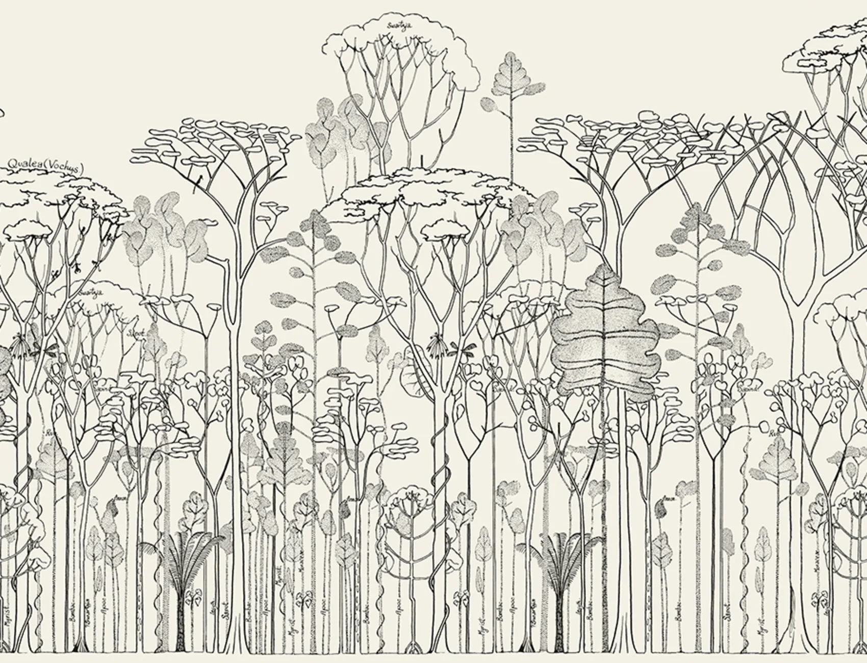 Monochrome Forest