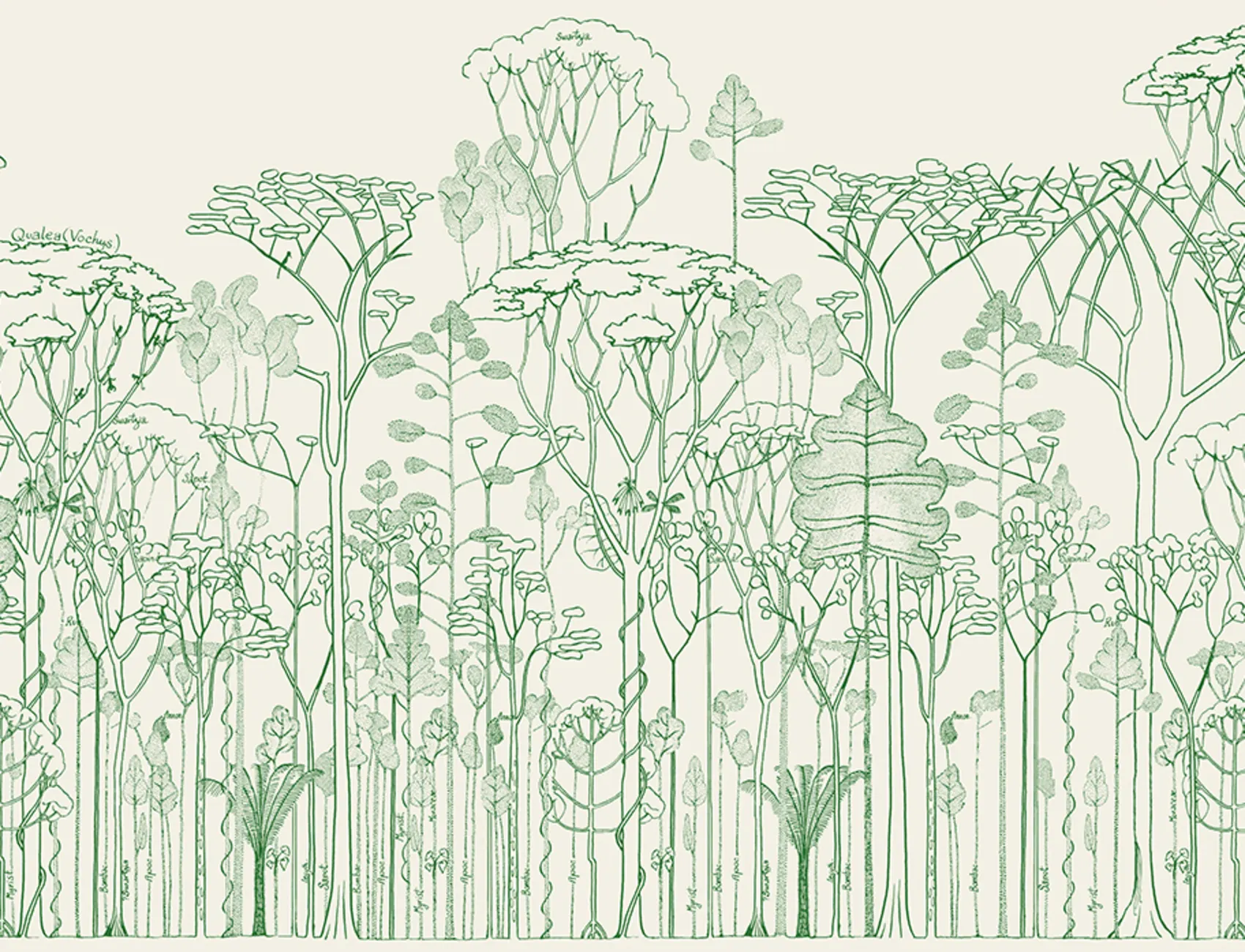 Green Canopy