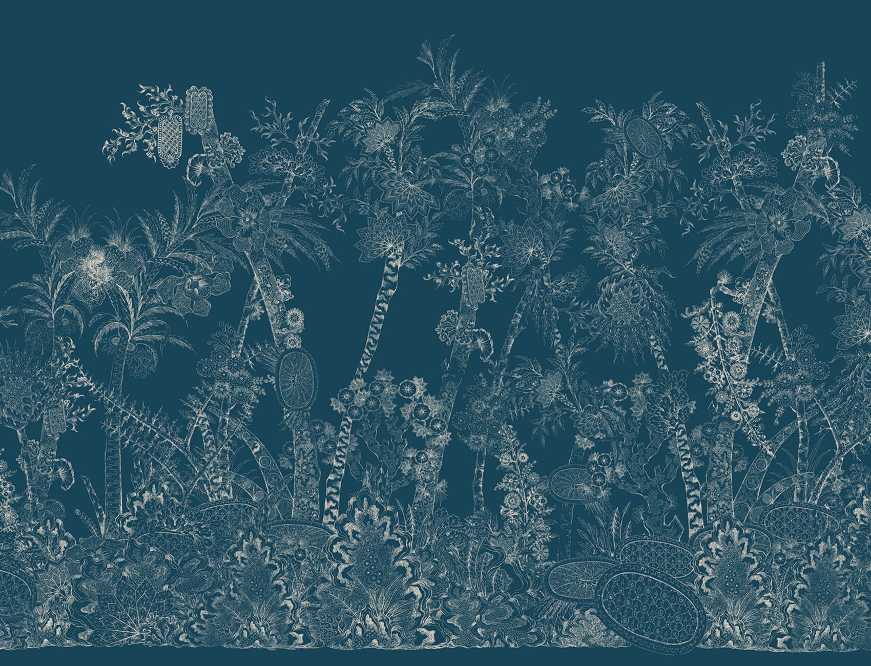 Enchanted Jungle
