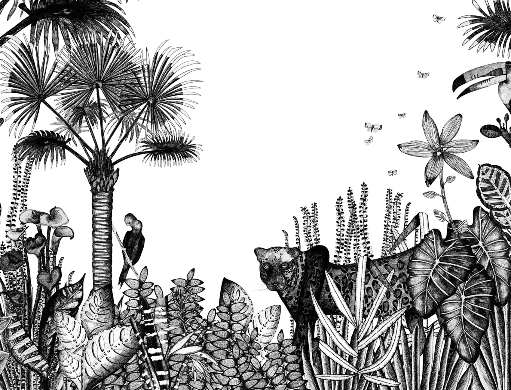 Into the Jungle