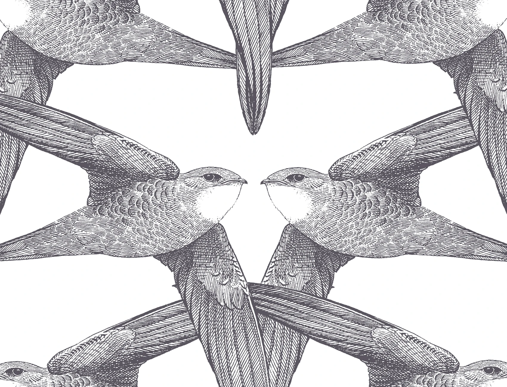 Oiseaux en vol