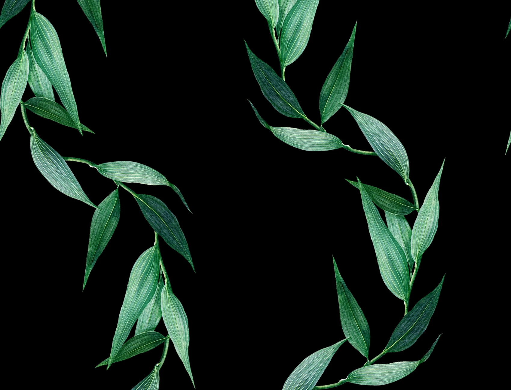 Elegante Bamboo