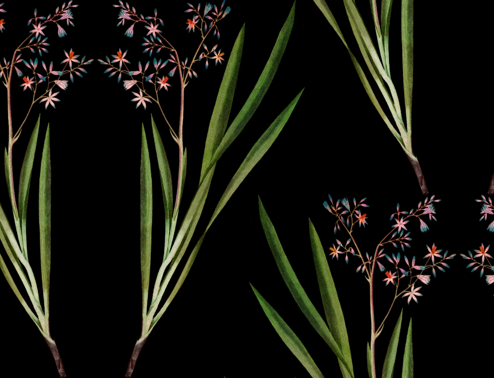 Flori nocturne