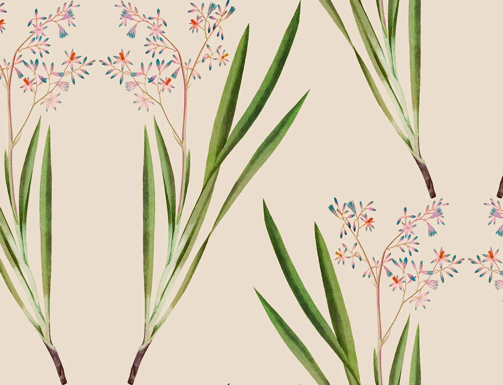 Graceful Blooms