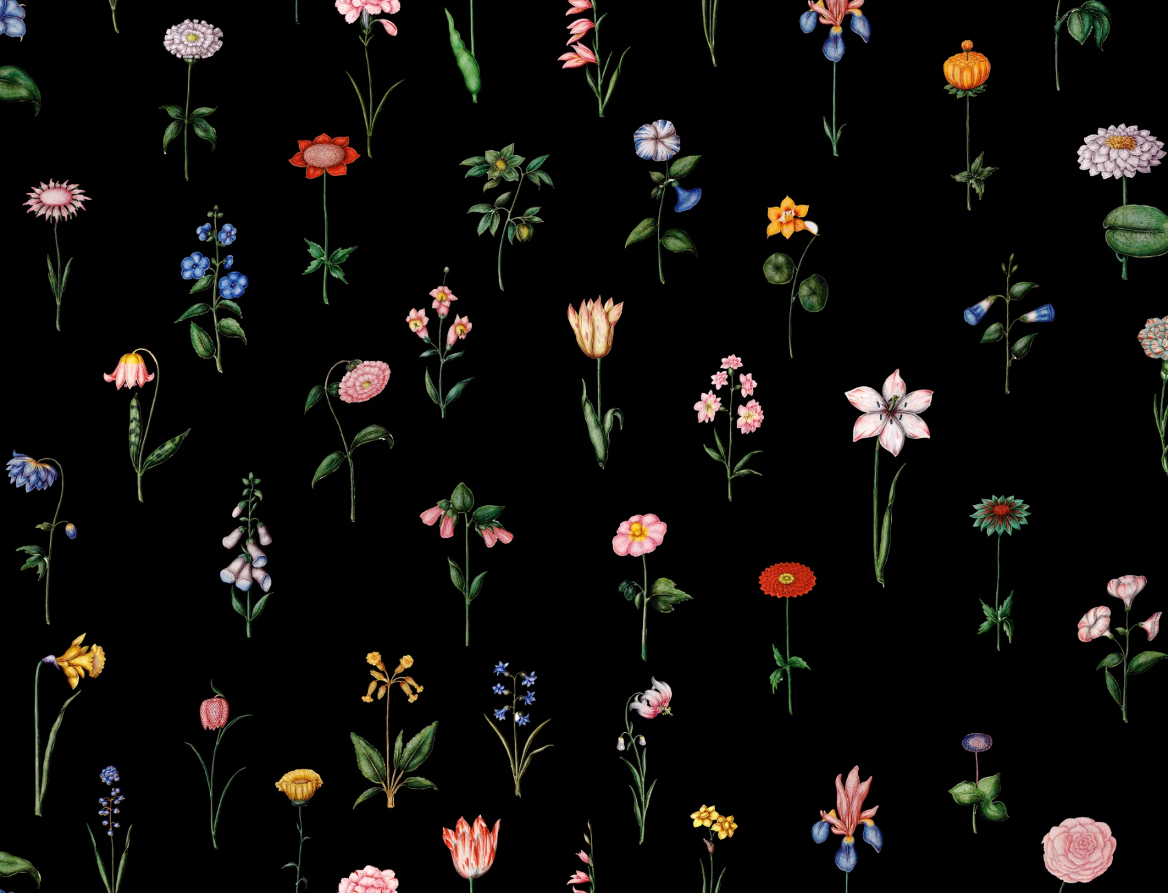 Nocturnal Garden