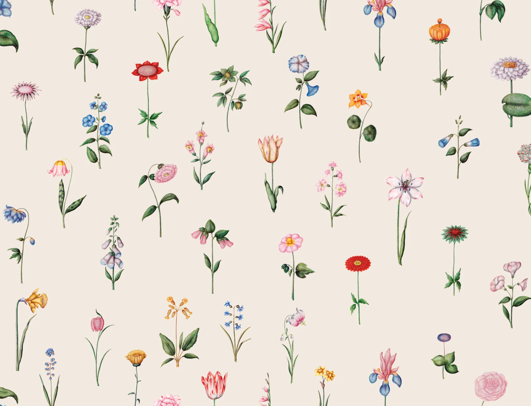 Blooming Elegance
