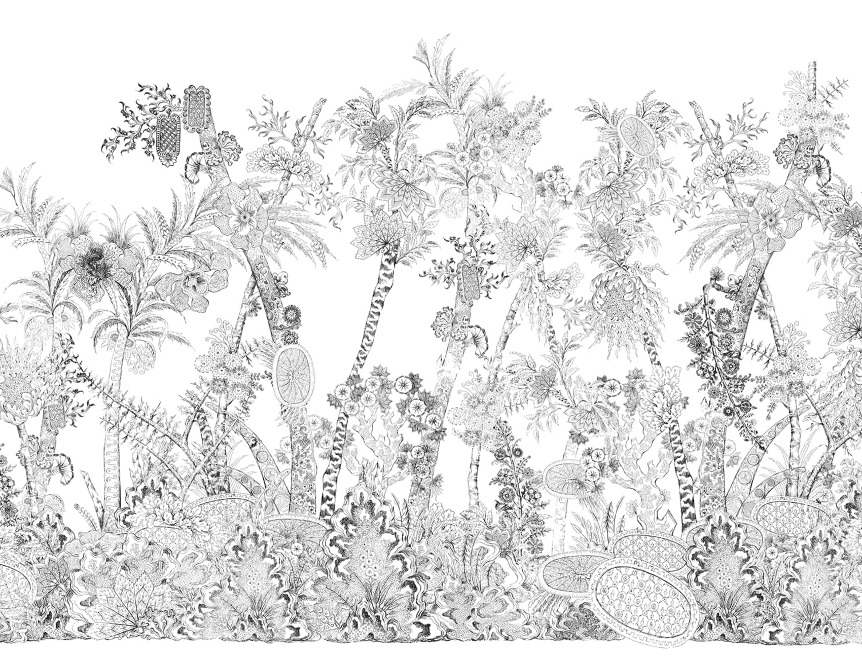 Monochrome Flora