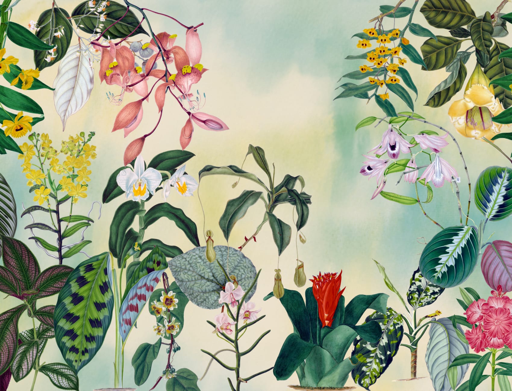 Sinfonia Tropical