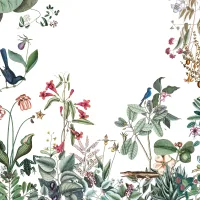 Image Botanisch