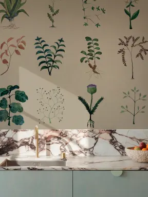 Nature's Archive
