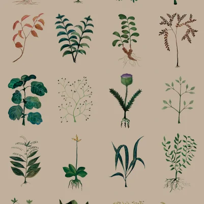 Herbarium, Kraft pattern image