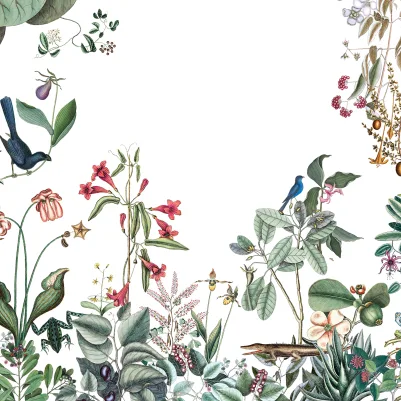 Bahamas, Garden pattern image