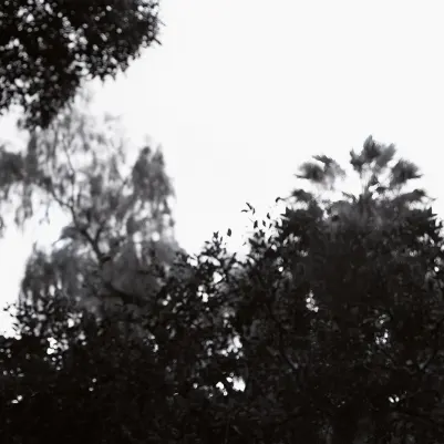 Palermo, Noir et blanc pattern image