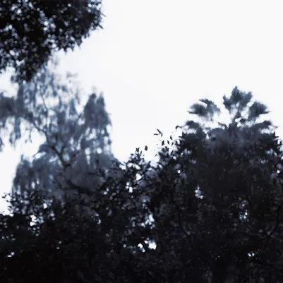 Palermo, Indigo pattern image