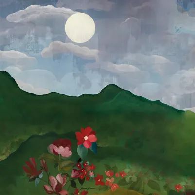 Luna, Moonlight pattern image