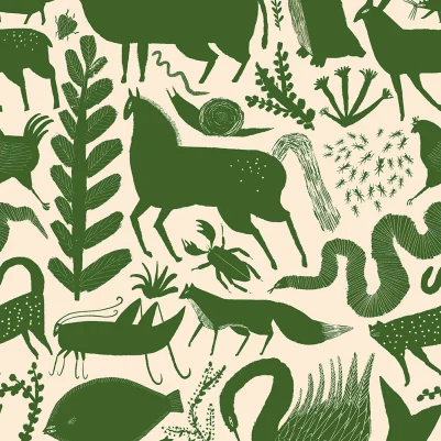 Menagerie, Frog pattern image