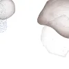 Apesanteur, White & Grey