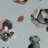 Constellation, Collage