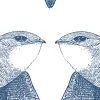 White Birds, Indigo